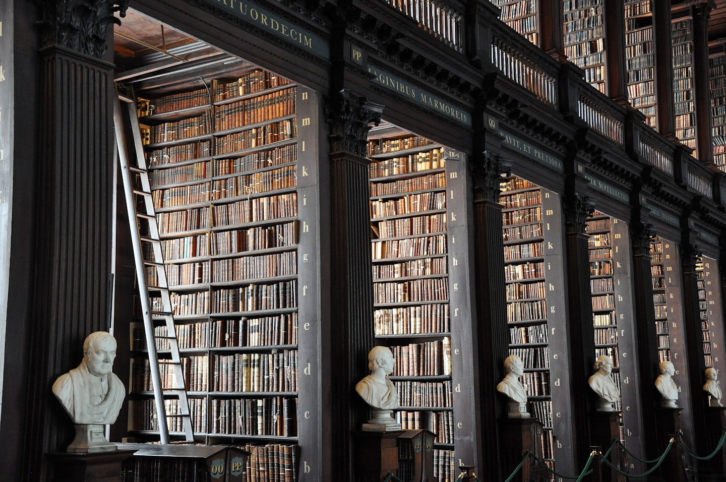 Historic library interior with tall wooden bookshelves, marble busts, and ladder symbolizing timeless knowledge and the time doesn’t care philosophy